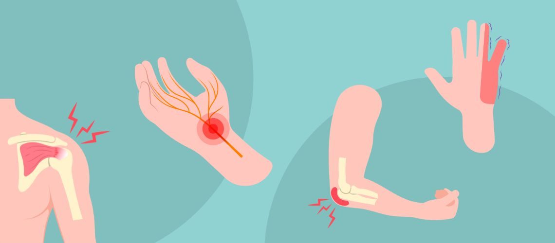 upper limb graphics